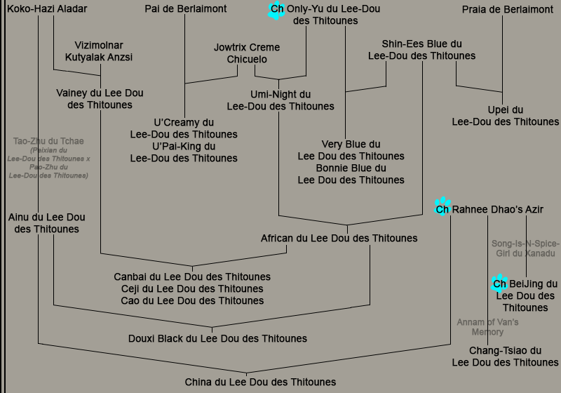 du Lee-Dou des Thitounes