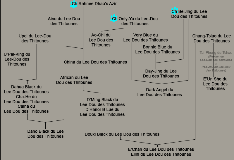 du Lee-Dou des Thitounes