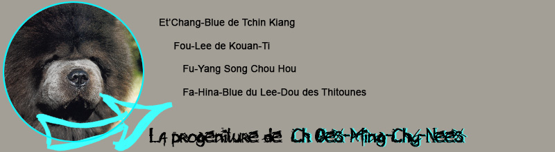 du Lee-Dou des Thitounes