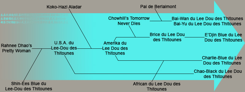 du Lee-Dou des Thitounes